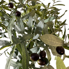 Zijde olijftakken boeket | BELLOSA