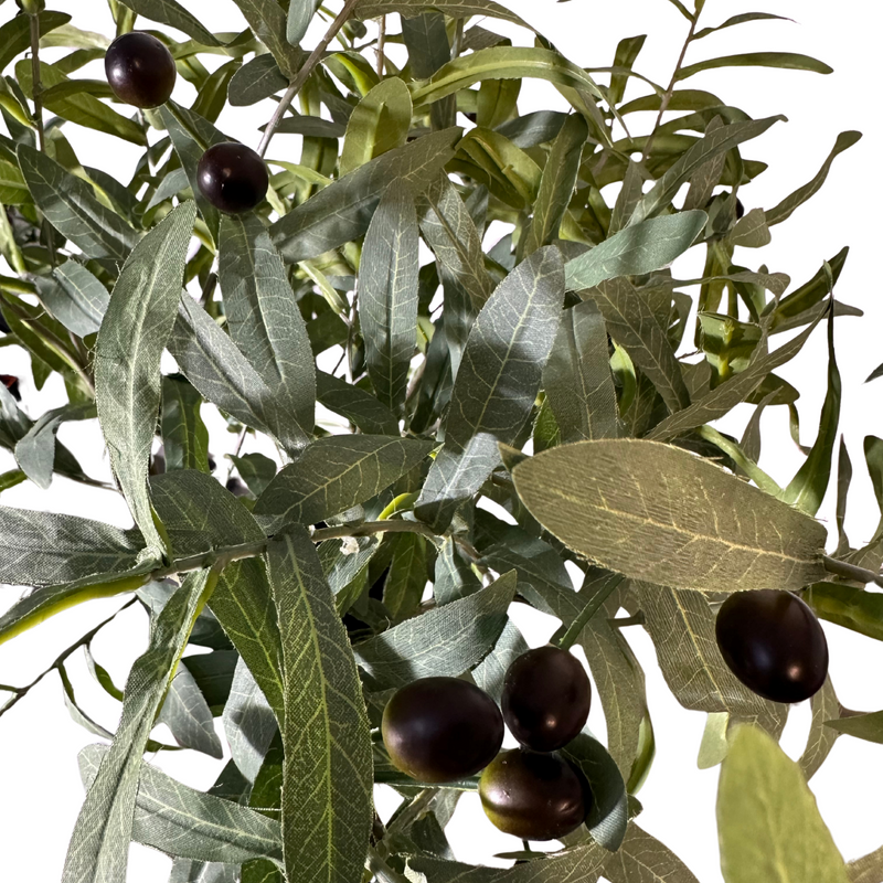 Zijde olijftakken boeket | BELLOSA